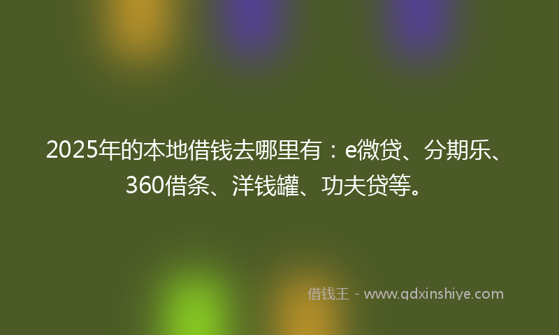 2025年的本地借钱去哪里有：e微贷、分期乐、360借条、洋钱罐、功夫贷等。