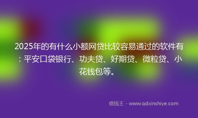 2025年的有什么小额网贷比较容易通过的软件有：平安口袋银行、功夫贷、好期贷、微粒贷、小花钱包等。