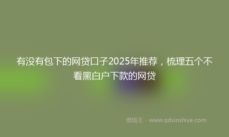 有没有包下的网贷口子2025年推荐，梳理五个不看黑白户下款的网贷
