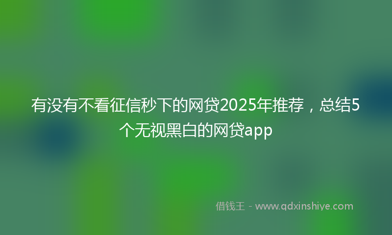 有没有不看征信秒下的网贷2025年推荐，总结5个无视黑白的网贷app