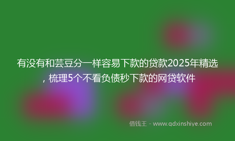 有没有和芸豆分一样容易下款的贷款2025年精选，梳理5个不看负债秒下款的网贷软件