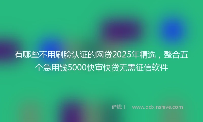 有哪些不用刷脸认证的网贷2025年精选，整合五个急用钱5000快审快贷无需征信软件