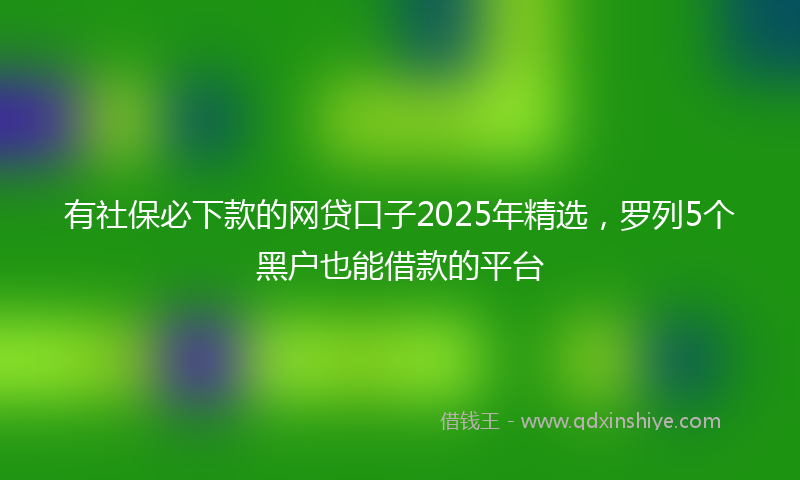 有社保必下款的网贷口子2025年精选，罗列5个黑户也能借款的平台