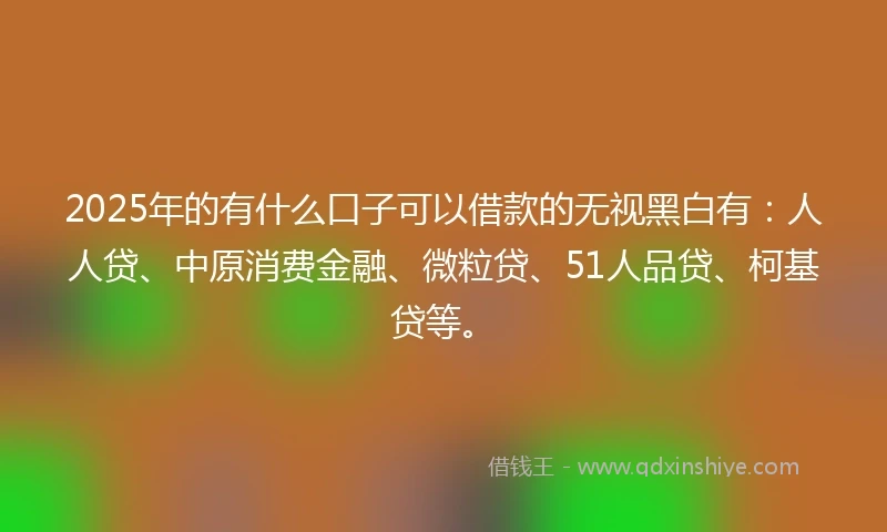 2025年的有什么口子可以借款的无视黑白有：人人贷、中原消费金融、微粒贷、51人品贷、柯基贷等。