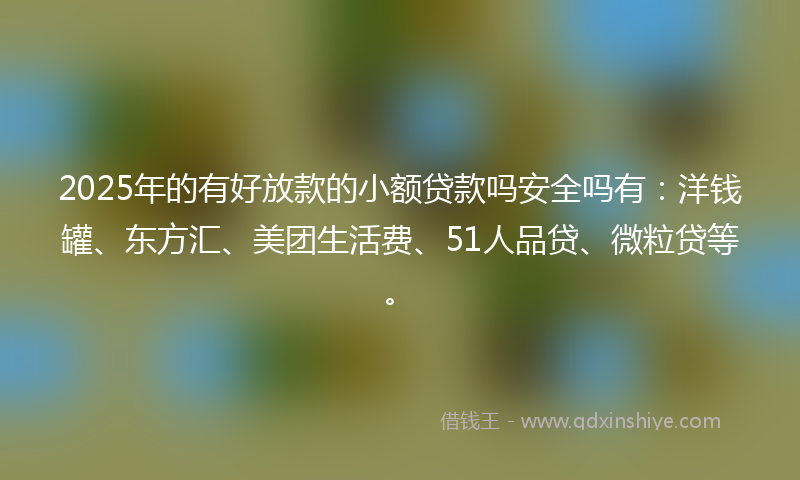 2025年的有好放款的小额贷款吗安全吗有：洋钱罐、东方汇、美团生活费、51人品贷、微粒贷等。