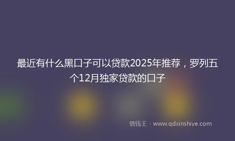 最近有什么黑口子可以贷款2025年推荐，罗列五个12月独家贷款的口子