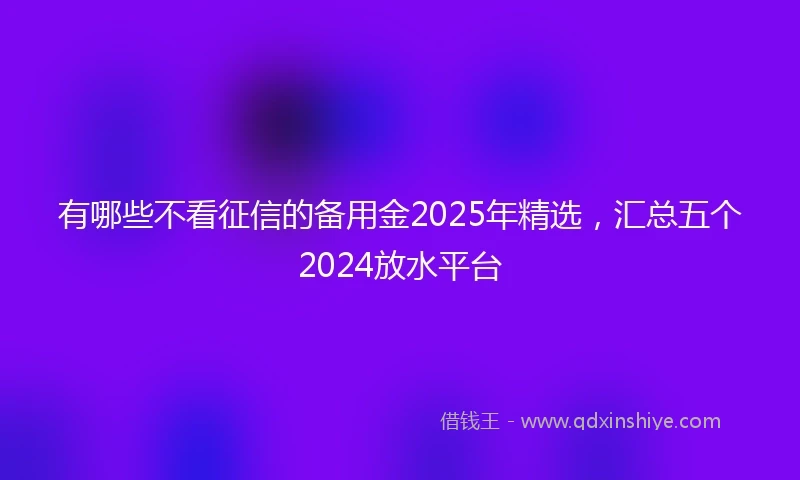 有哪些不看征信的备用金2025年精选，汇总五个2024放水平台