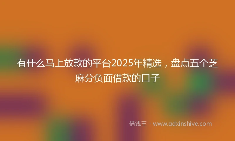 有什么马上放款的平台2025年精选，盘点五个芝麻分负面借款的口子