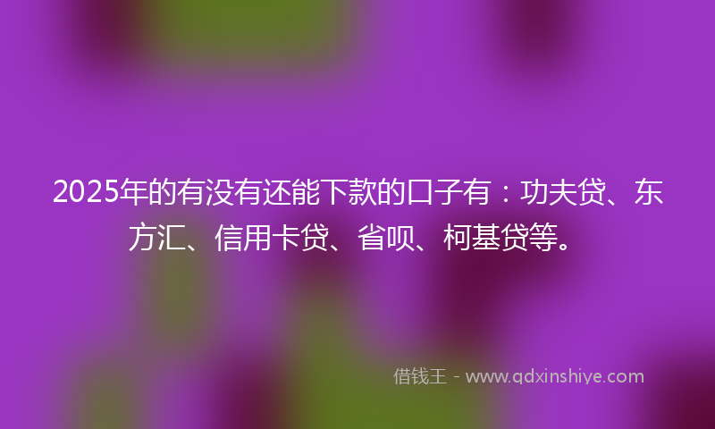 2025年的有没有还能下款的口子有：功夫贷、东方汇、信用卡贷、省呗、柯基贷等。