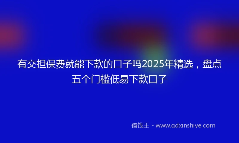 有交担保费就能下款的口子吗2025年精选，盘点五个门槛低易下款口子