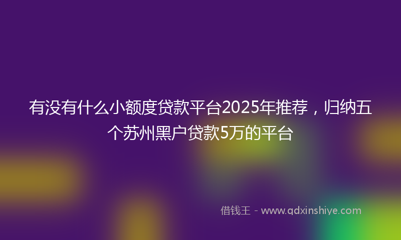有没有什么小额度贷款平台2025年推荐，归纳五个苏州黑户贷款5万的平台