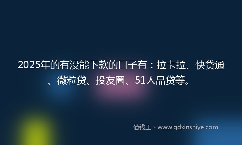 2025年的有没能下款的口子有：拉卡拉、快贷通、微粒贷、投友圈、51人品贷等。