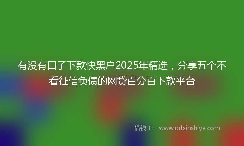 有没有口子下款快黑户2025年精选，分享五个不看征信负债的网贷百分百下款平台