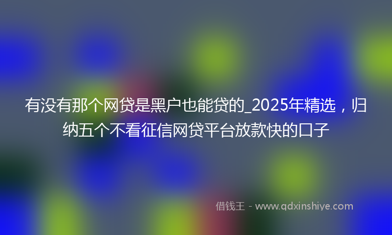 有没有那个网贷是黑户也能贷的_2025年精选，归纳五个不看征信网贷平台放款快的口子