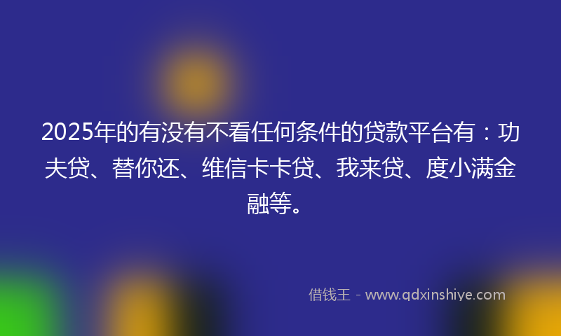 2025年的有没有不看任何条件的贷款平台有：功夫贷、替你还、维信卡卡贷、我来贷、度小满金融等。