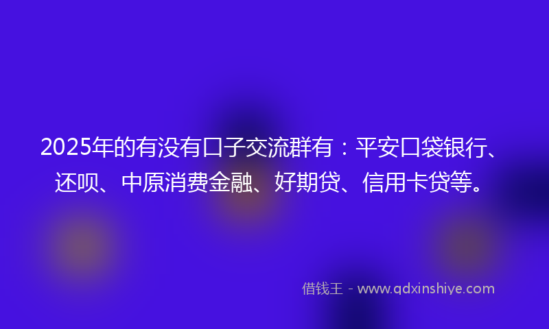 2025年的有没有口子交流群有：平安口袋银行、还呗、中原消费金融、好期贷、信用卡贷等。