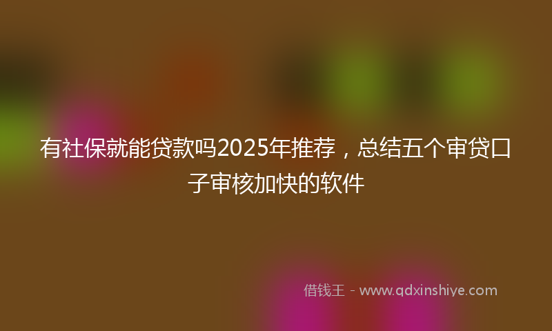 有社保就能贷款吗2025年推荐，总结五个审贷口子审核加快的软件