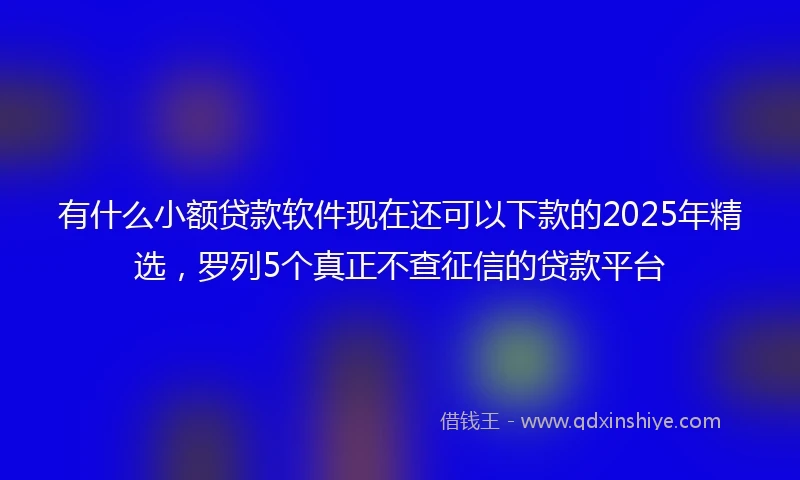 有什么小额贷款软件现在还可以下款的2025年精选，罗列5个真正不查征信的贷款平台