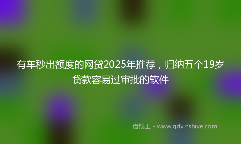 有车秒出额度的网贷2025年推荐，归纳五个19岁贷款容易过审批的软件