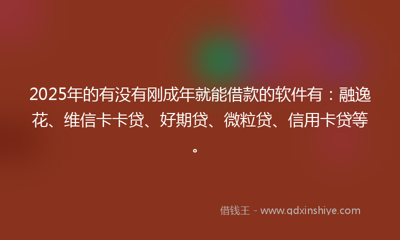 2025年的有没有刚成年就能借款的软件有：融逸花、维信卡卡贷、好期贷、微粒贷、信用卡贷等。