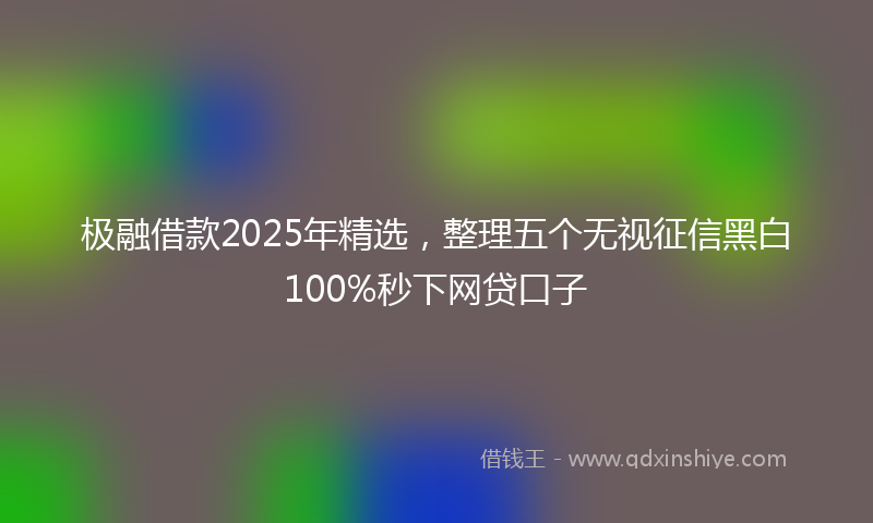 极融借款2025年精选，整理五个无视征信黑白100%秒下网贷口子