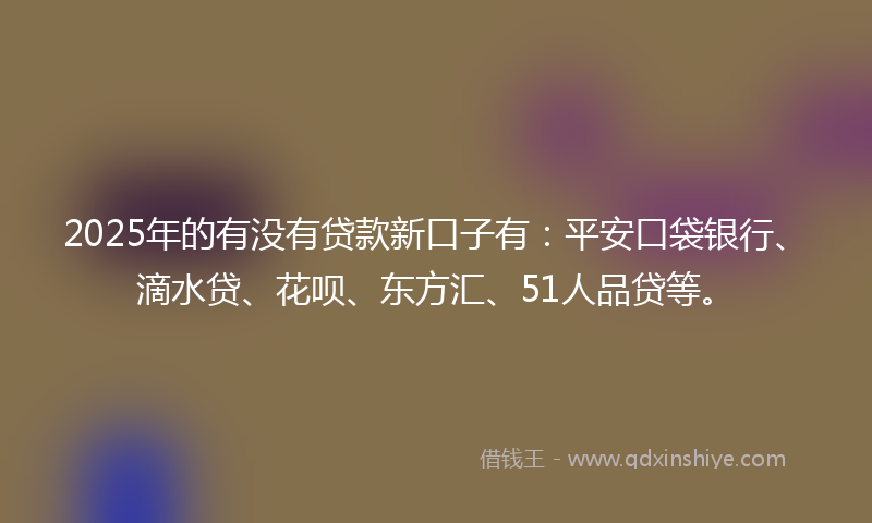 2025年的有没有贷款新口子有：平安口袋银行、滴水贷、花呗、东方汇、51人品贷等。