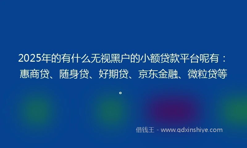 2025年的有什么无视黑户的小额贷款平台呢有：惠商贷、随身贷、好期贷、京东金融、微粒贷等。
