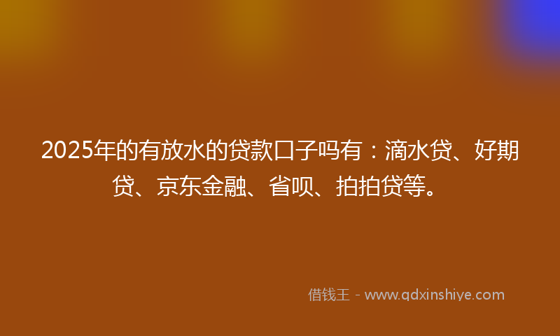 2025年的有放水的贷款口子吗有：滴水贷、好期贷、京东金融、省呗、拍拍贷等。