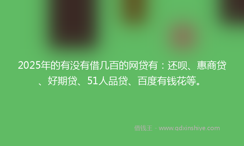 2025年的有没有借几百的网贷有：还呗、惠商贷、好期贷、51人品贷、百度有钱花等。