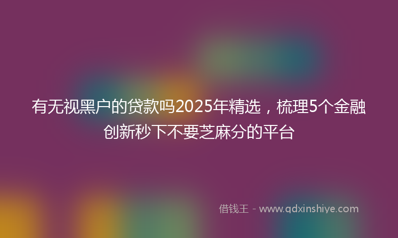 有无视黑户的贷款吗2025年精选，梳理5个金融创新秒下不要芝麻分的平台
