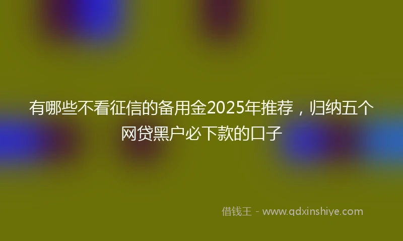 有哪些不看征信的备用金2025年推荐，归纳五个网贷黑户必下款的口子