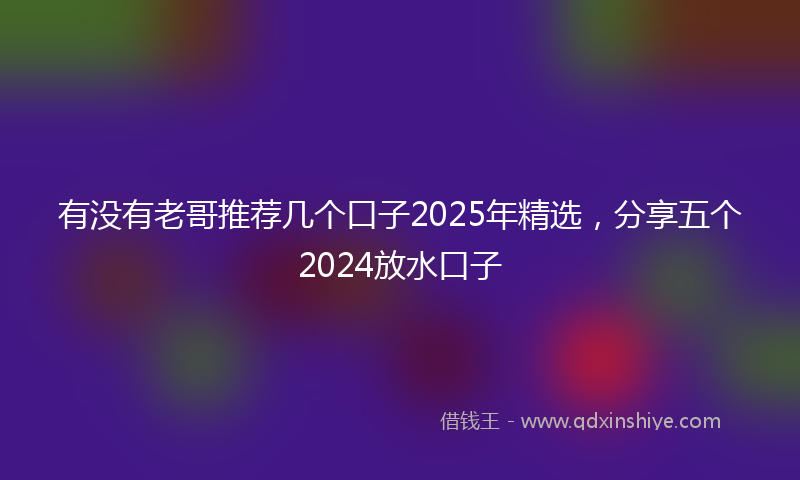 有没有老哥推荐几个口子2025年精选，分享五个2024放水口子