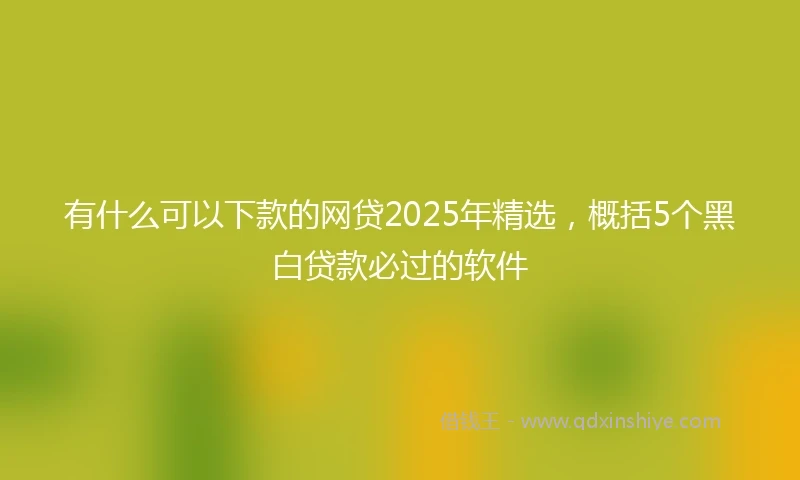 有什么可以下款的网贷2025年精选，概括5个黑白贷款必过的软件
