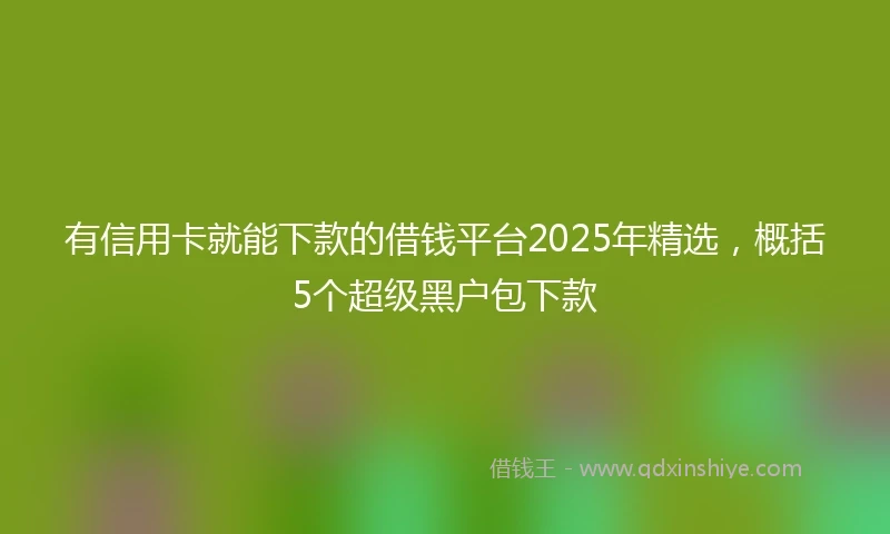 有信用卡就能下款的借钱平台2025年精选，概括5个超级黑户包下款