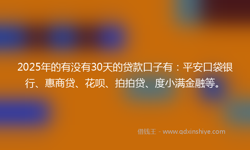 2025年的有没有30天的贷款口子有：平安口袋银行、惠商贷、花呗、拍拍贷、度小满金融等。