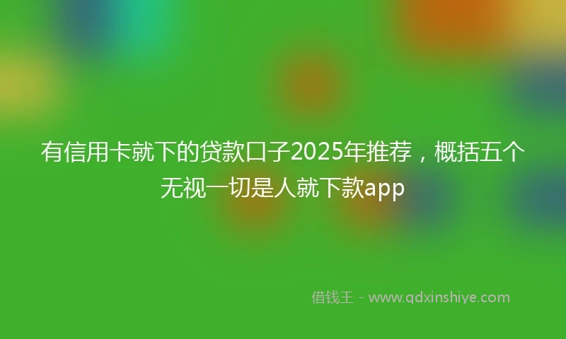 有信用卡就下的贷款口子2025年推荐，概括五个无视一切是人就下款app