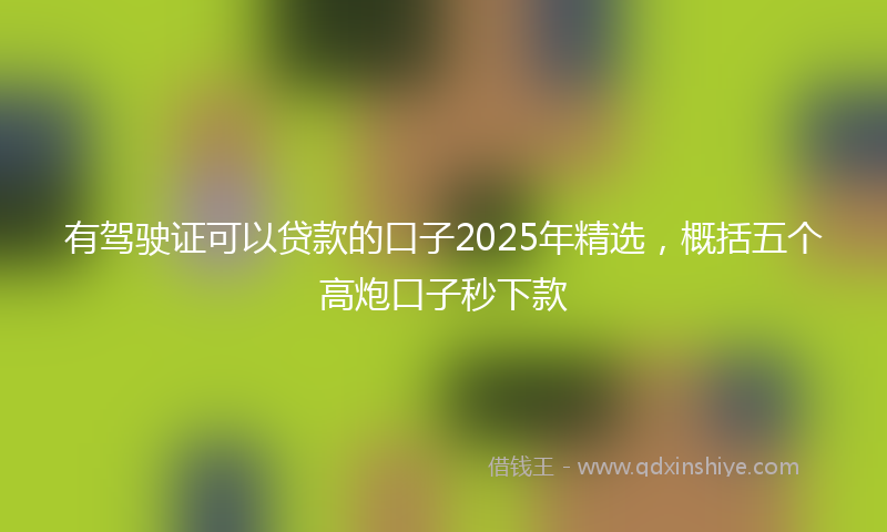 有驾驶证可以贷款的口子2025年精选，概括五个高炮口子秒下款