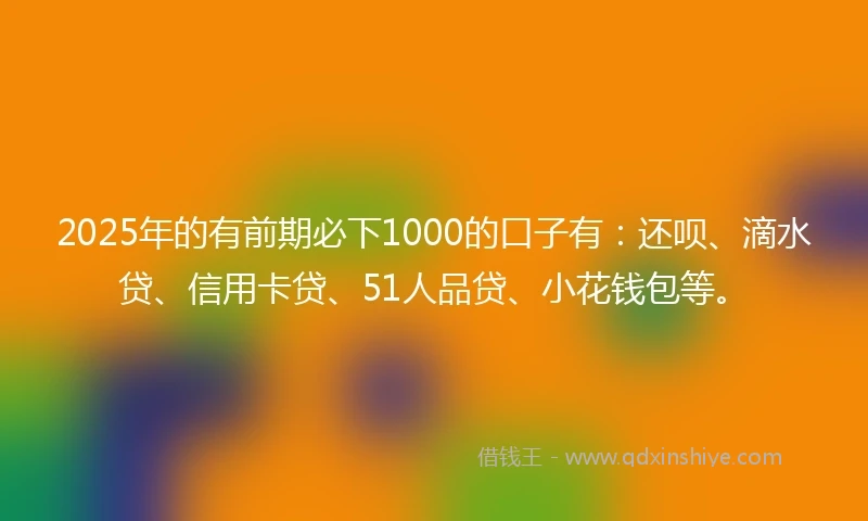 2025年的有前期必下1000的口子有：还呗、滴水贷、信用卡贷、51人品贷、小花钱包等。