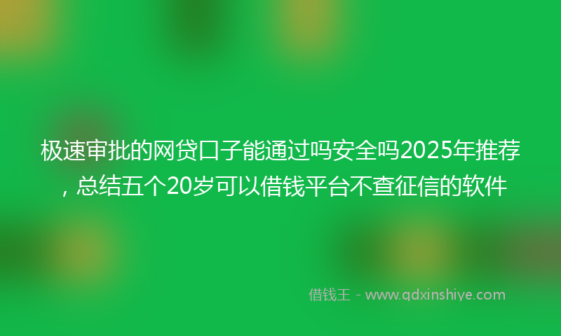 极速审批的网贷口子能通过吗安全吗2025年推荐，总结五个20岁可以借钱平台不查征信的软件