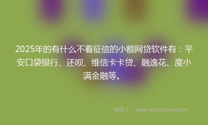 2025年的有什么不看征信的小额网贷软件有：平安口袋银行、还呗、维信卡卡贷、融逸花、度小满金融等。