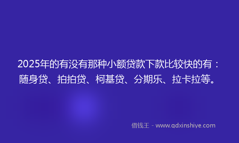 2025年的有没有那种小额贷款下款比较快的有：随身贷、拍拍贷、柯基贷、分期乐、拉卡拉等。