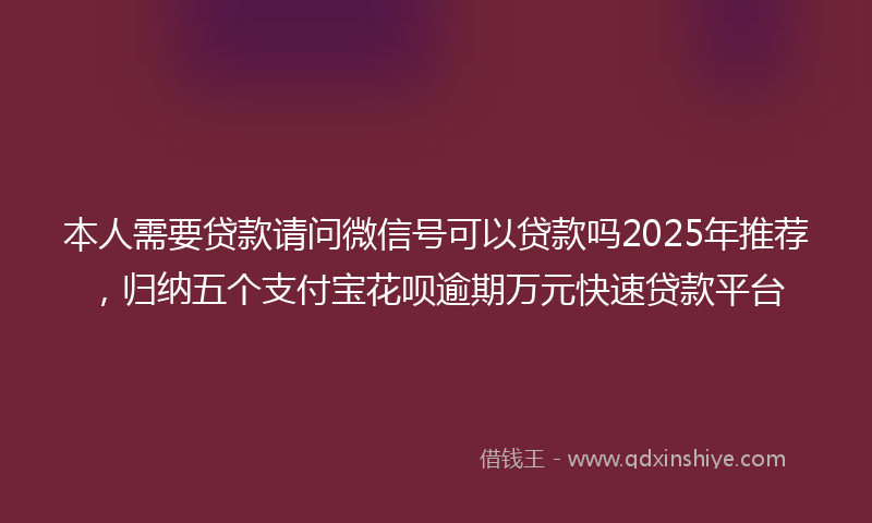 本人需要贷款请问微信号可以贷款吗2025年推荐，归纳五个支付宝花呗逾期万元快速贷款平台