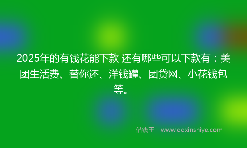 2025年的有钱花能下款 还有哪些可以下款有：美团生活费、替你还、洋钱罐、团贷网、小花钱包等。