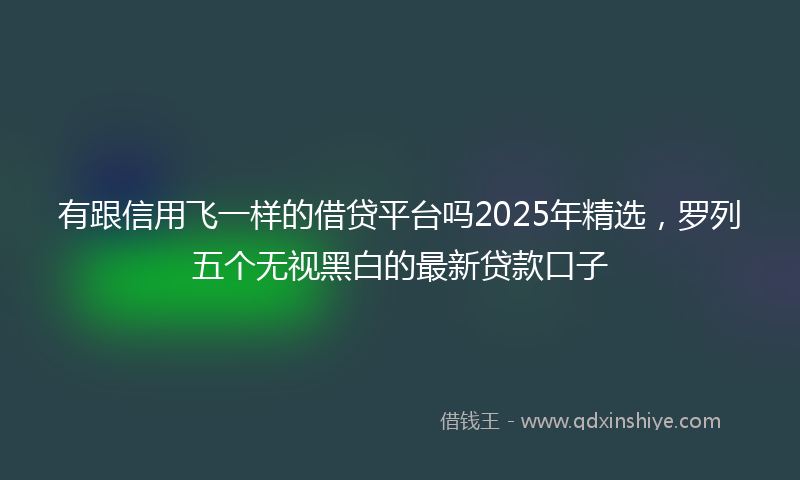 有跟信用飞一样的借贷平台吗2025年精选，罗列五个无视黑白的最新贷款口子