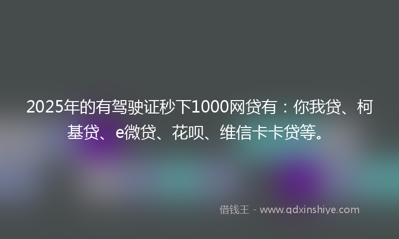 2025年的有驾驶证秒下1000网贷有：你我贷、柯基贷、e微贷、花呗、维信卡卡贷等。