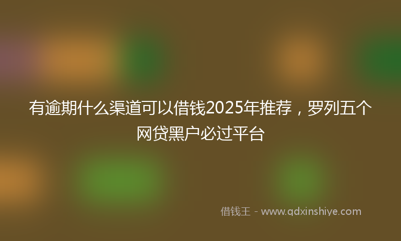 有逾期什么渠道可以借钱2025年推荐，罗列五个网贷黑户必过平台