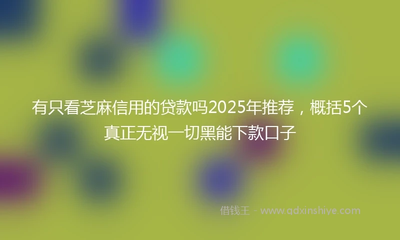 有只看芝麻信用的贷款吗2025年推荐，概括5个真正无视一切黑能下款口子