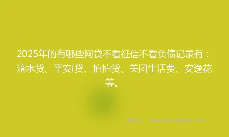 2025年的有哪些网贷不看征信不看负债记录有：滴水贷、平安i贷、拍拍贷、美团生活费、安逸花等。