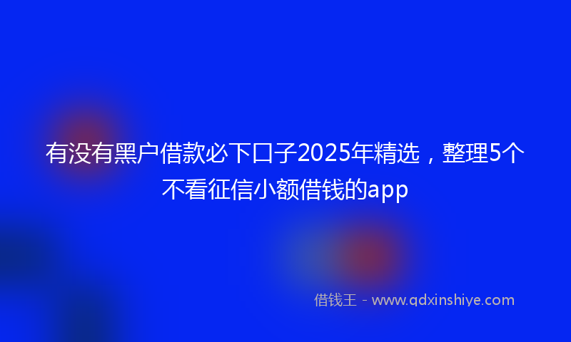 有没有黑户借款必下口子2025年精选，整理5个不看征信小额借钱的app