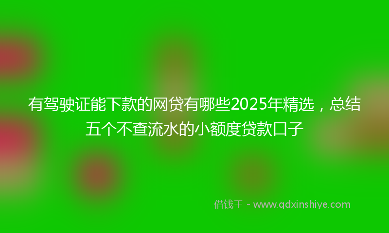 有驾驶证能下款的网贷有哪些2025年精选，总结五个不查流水的小额度贷款口子